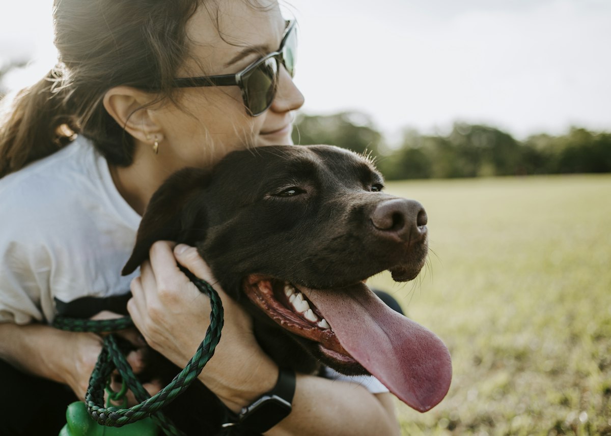 A finished, fluffy dog in its owner's arms